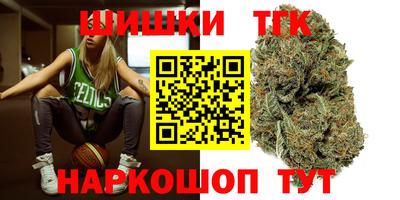 Альфа ПВП Сланцы