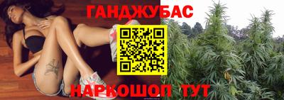 Альфа ПВП Сланцы