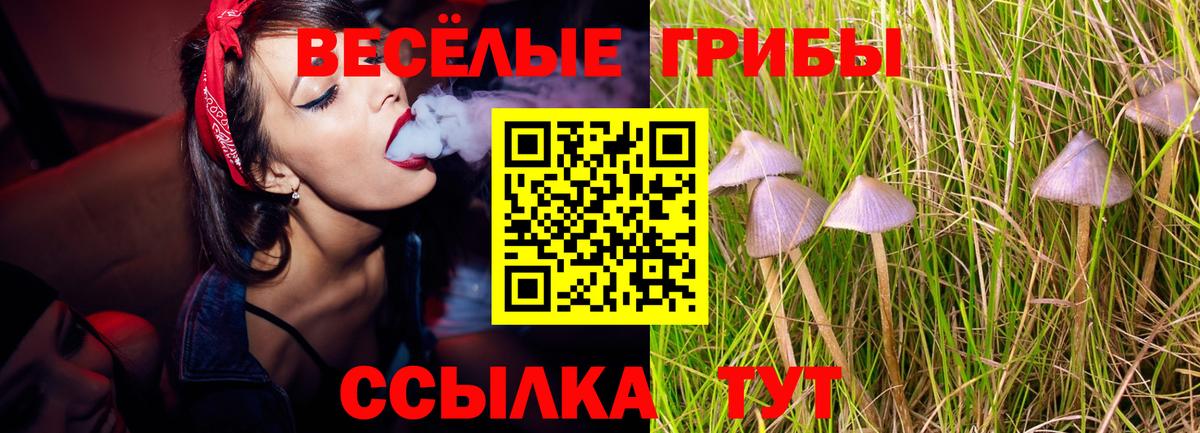 Псилоцибиновые грибы MAGIC MUSHROOMS  Вход с VPN  Похвистнево 