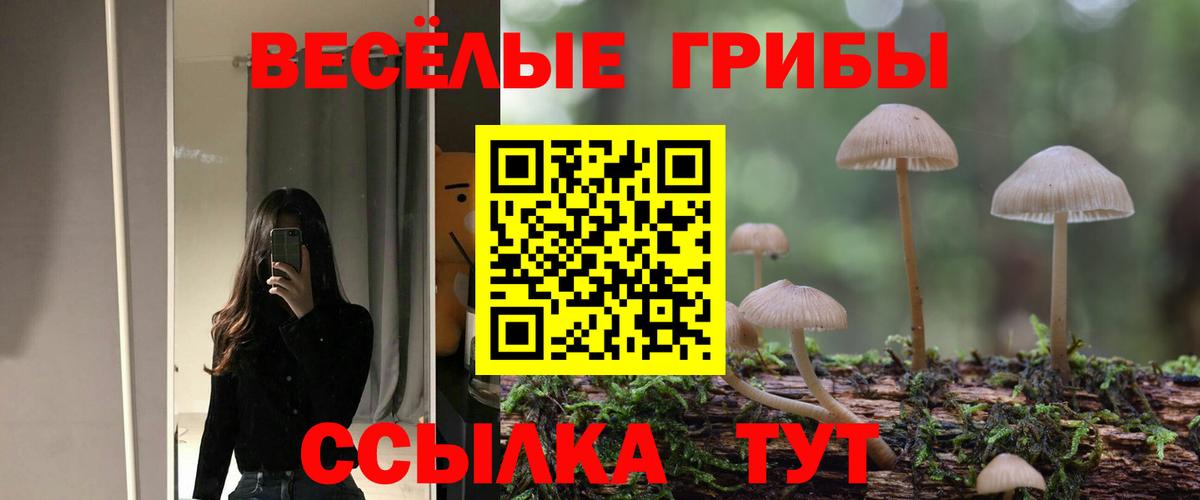 Псилоцибиновые грибы прущие грибы Похвистнево